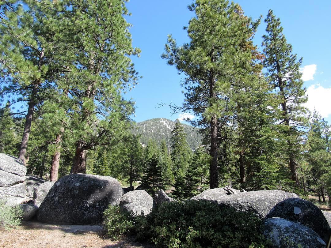 Park Dwustanowy Van Sickle'a